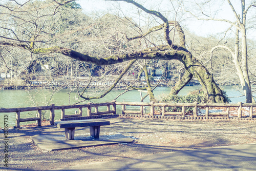 Scenery with the bench