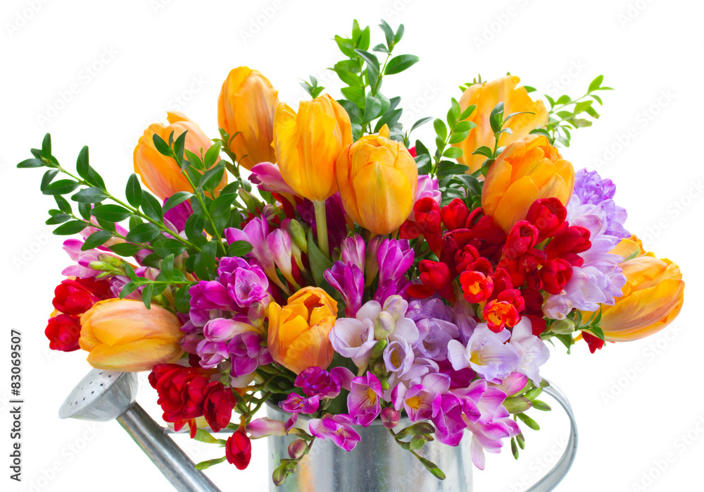 freesia and tulip flowers