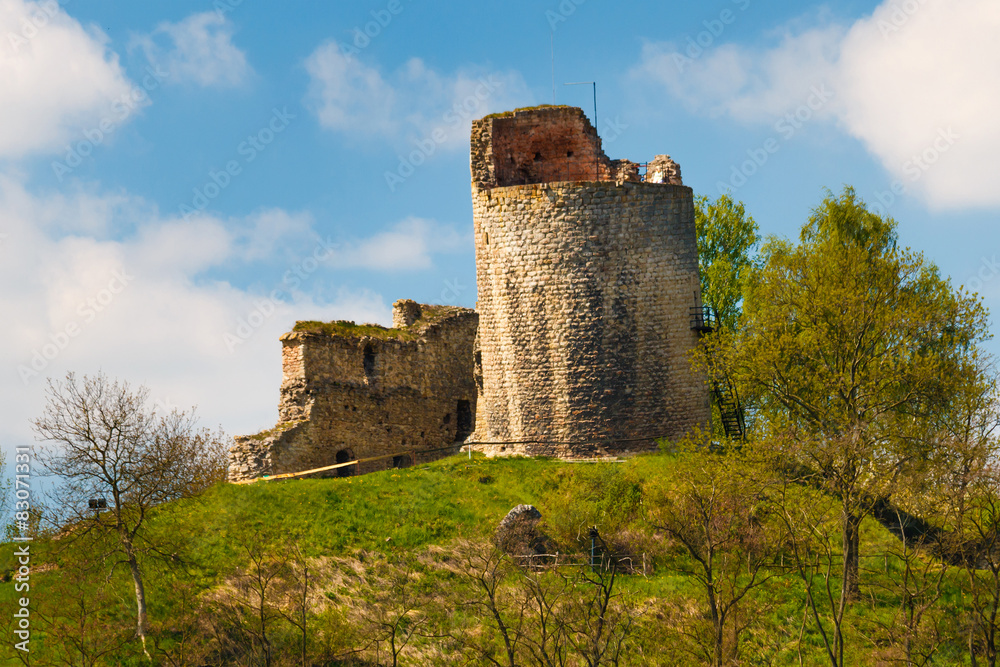Ruins of the castle Michalovice with leaning tower.