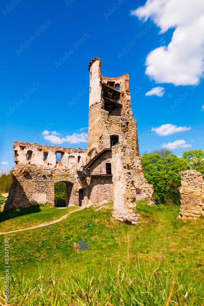 The ruins of the castle Zviretice.