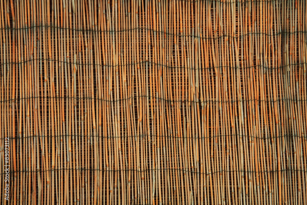 bamboo texture bamboo texture