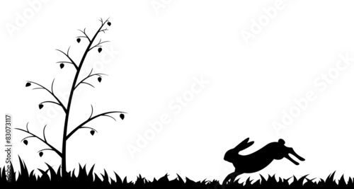 Silhouette of hare in the grass.
