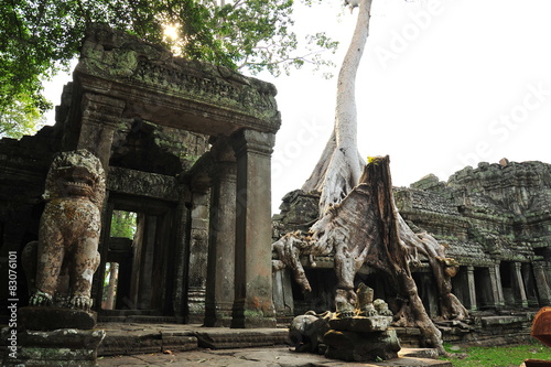 Ruins of Preah Khan Temple in Cambodia