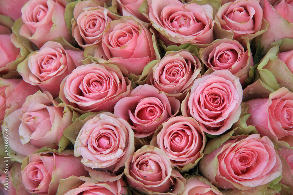 Pink roses in a wedding arrangement Pink roses in a wedding arrangement