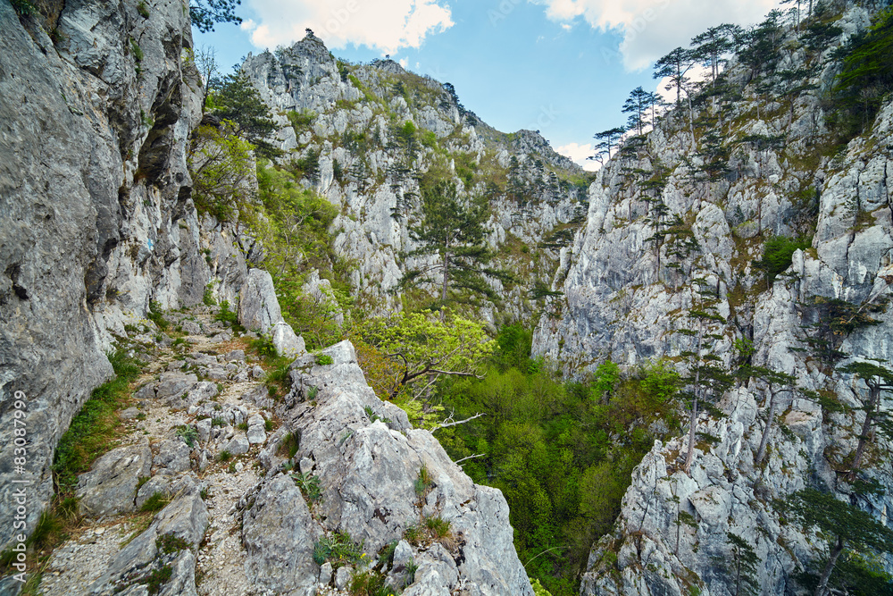 Rocky trail on mountains