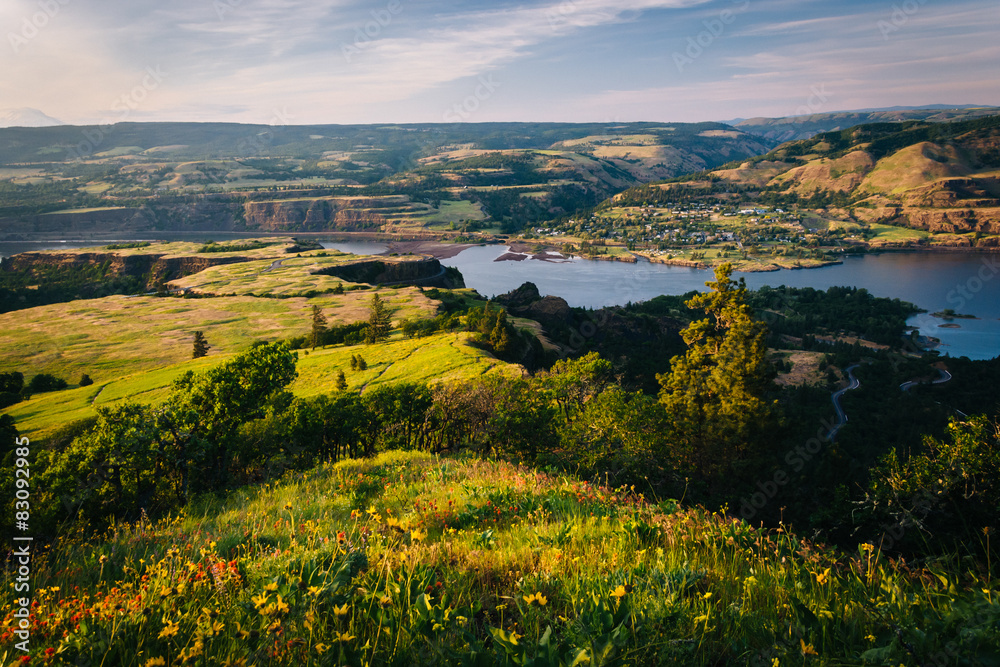View of the Columbia River from Tom McCall Nature Preserve, Colu