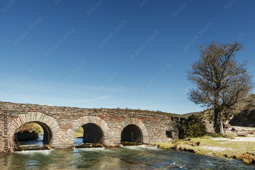 Rustic bridge in autumn. Hayedo de Tejera Negra, Spain