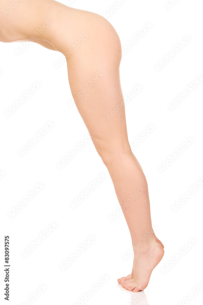 Perfect female legs.