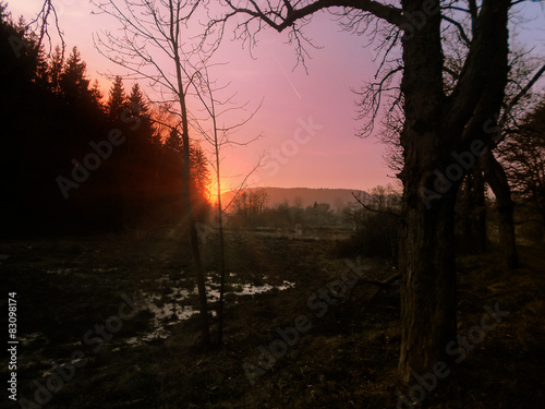 Abend im Moor