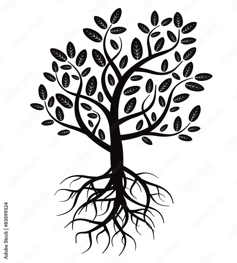 Black vector tree and roots Black vector tree and roots
