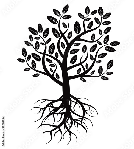 Black vector tree and roots
