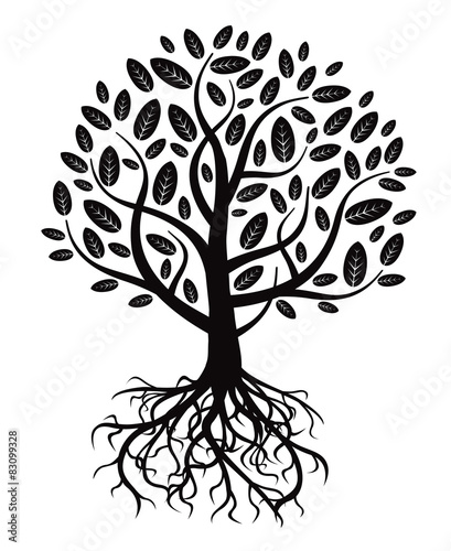 Black vector tree and roots