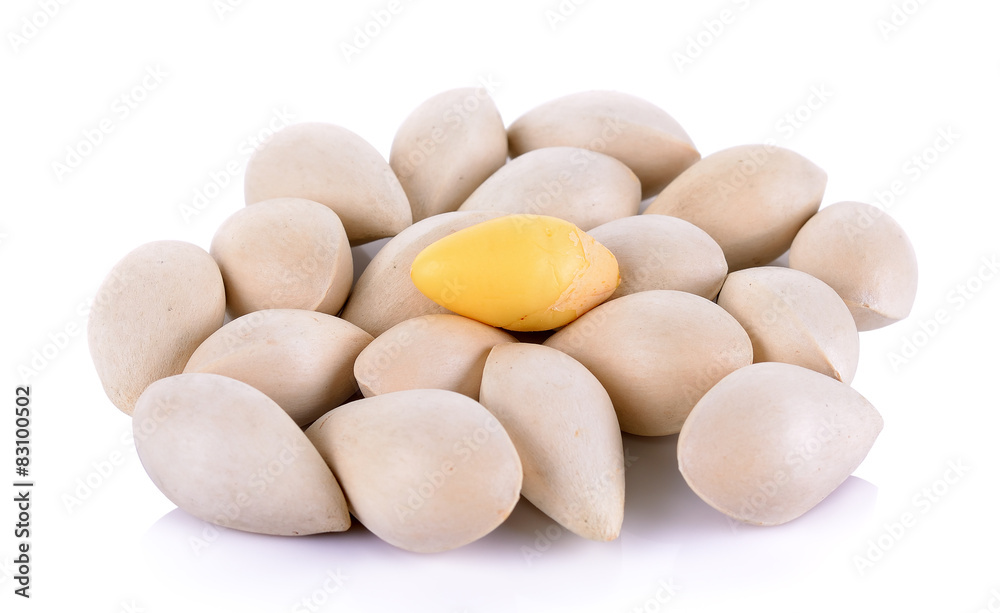 ginkgo isolated on the white background ginkgo isolated on the white background