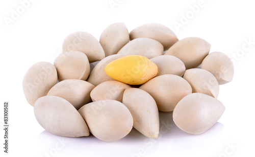 ginkgo isolated on the white background