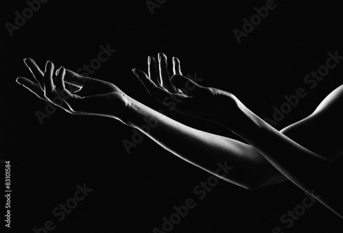 The outline of a beautiful female hand on a black background photo