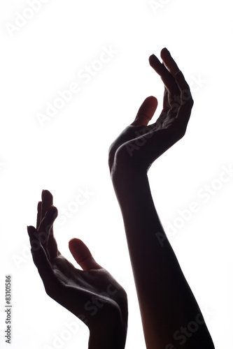 Silhouette of female hands on white background