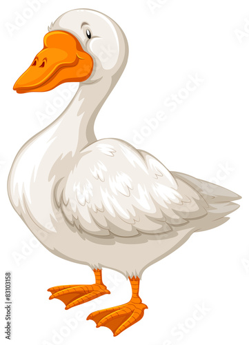 Goose