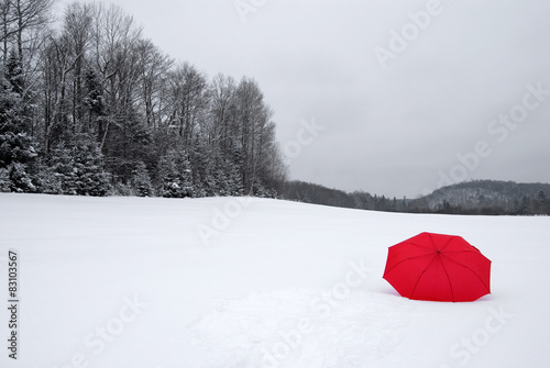Abstract Red Umbrella in a Snow Covered Field