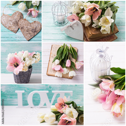 Fototapeta Naklejka Na Ścianę i Meble -  Collage with fresh pink and white tulups and decorative elements