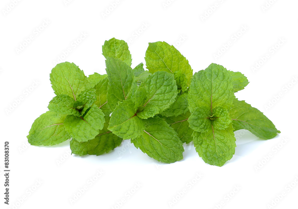 Fresh mint close up on white Fresh mint close up on white