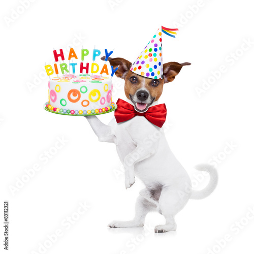 happy birthday dog © Javier brosch