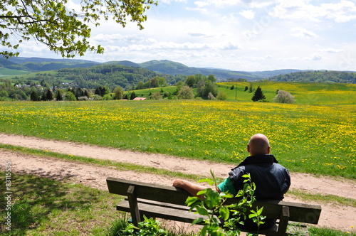 bl  hende Bergwiese im Th  ringer Wald