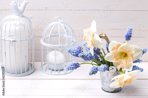 Fototapeta Naklejka Na Ścianę i Meble -  Background with fresh muscaries and narcissus in bucket