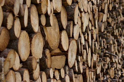 firewood