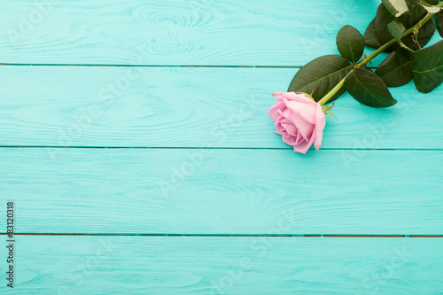 Tableau sur toile Pink rose on blue wooden background