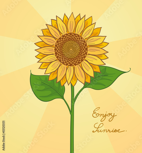 handdraw sunflower