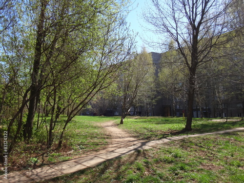 Городской двор и тропинка весной с зеленеющими деревьями