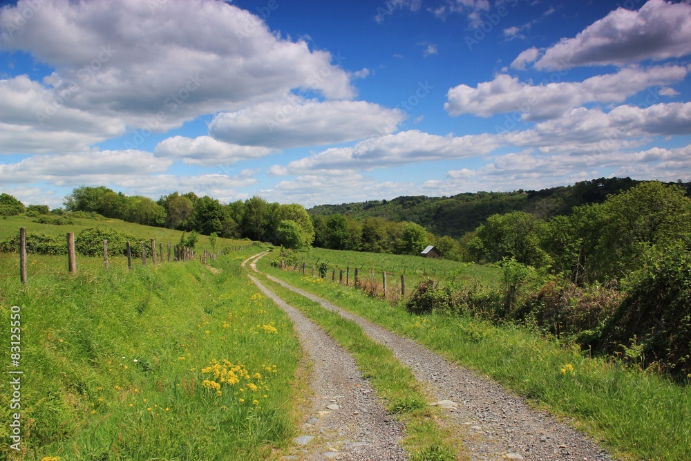 Paysage de campagne. Paysage de campagne.