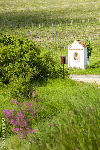 God's torture near Hnanice with spring vineyard, Southern Morav photo