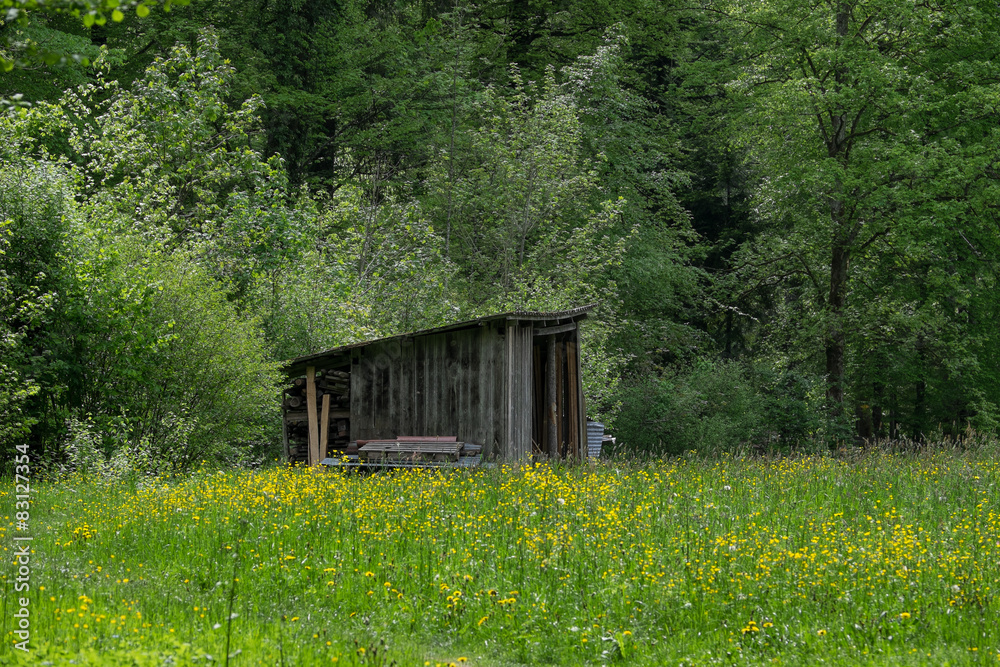 Obraz premium Kleiner Schuppen