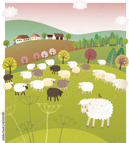 Spring sheep