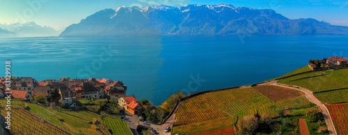 Terraced vineyards of Lavaux with Lake Leman and alps mountains photo