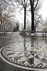 Tableau sur plexiglas New York Yellow rose on Imagine mosaic, Central Park, New York  © christiepdx
