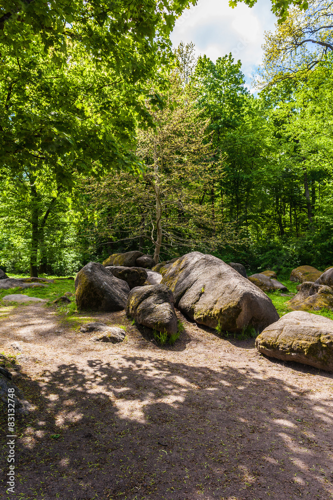 Naklejka premium green trees with big stones
