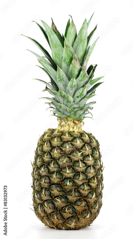 Fototapeta premium pineapple isolated