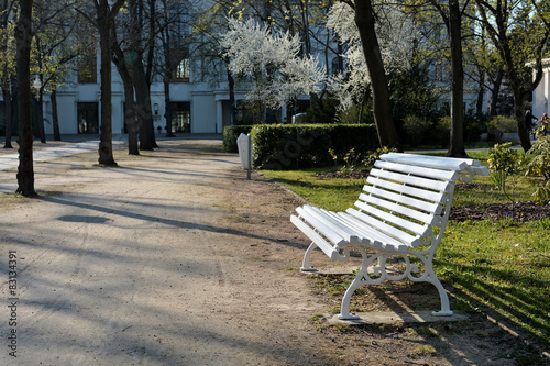 weiße Holzbank in einem Park im Frühling