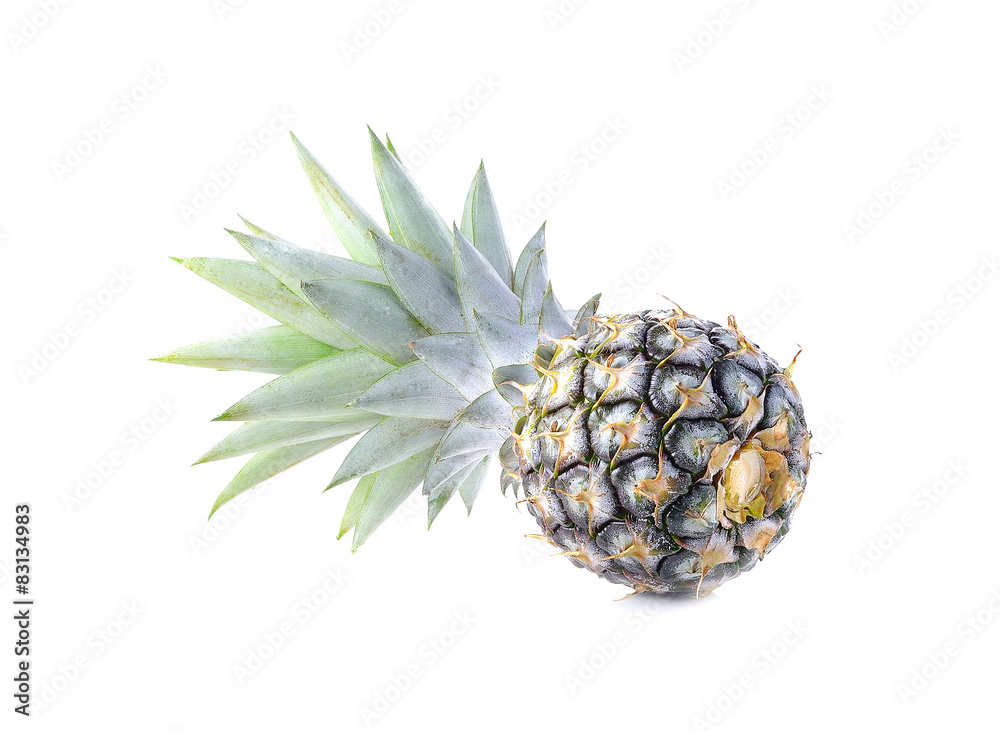 Green pineapple on isolated white background, unripe pineapple o Green pineapple on isolated white background, unripe pineapple o