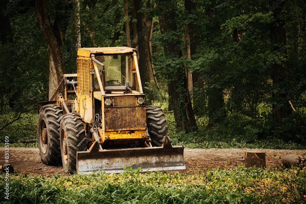 Fototapeta premium Old tractor on the forest deforestation work