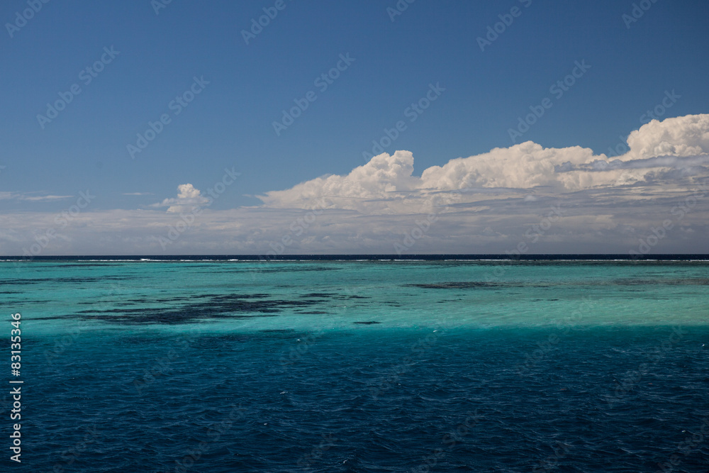 Reef in the South Pacific