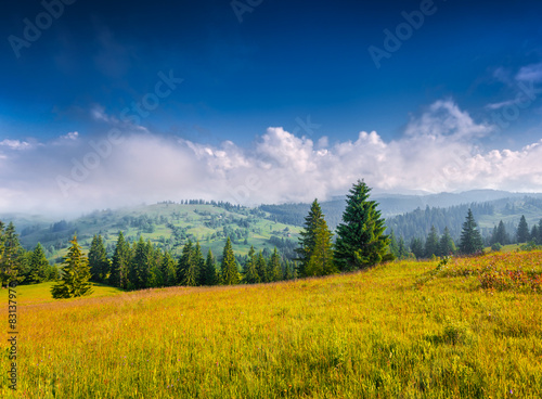 Colorful summer morning in the foggy mountain.