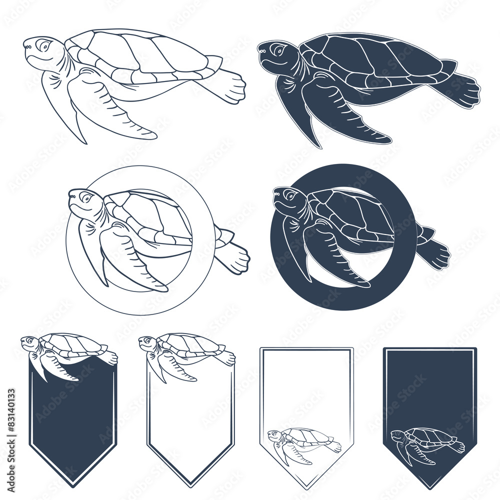 Set of illustrations with sea turtle. Isolated vector objects on a white background. Set of illustrations with sea turtle. Isolated vector objects on a white background.