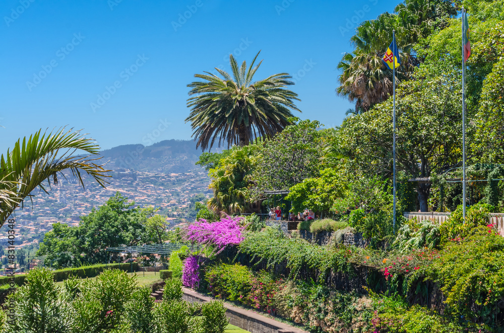 View from Botanical Garden Funchal.
