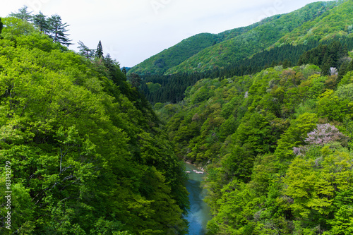 小安峡の渓谷