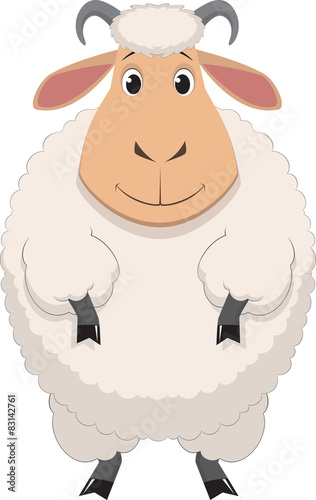 Cartoon baby sheep