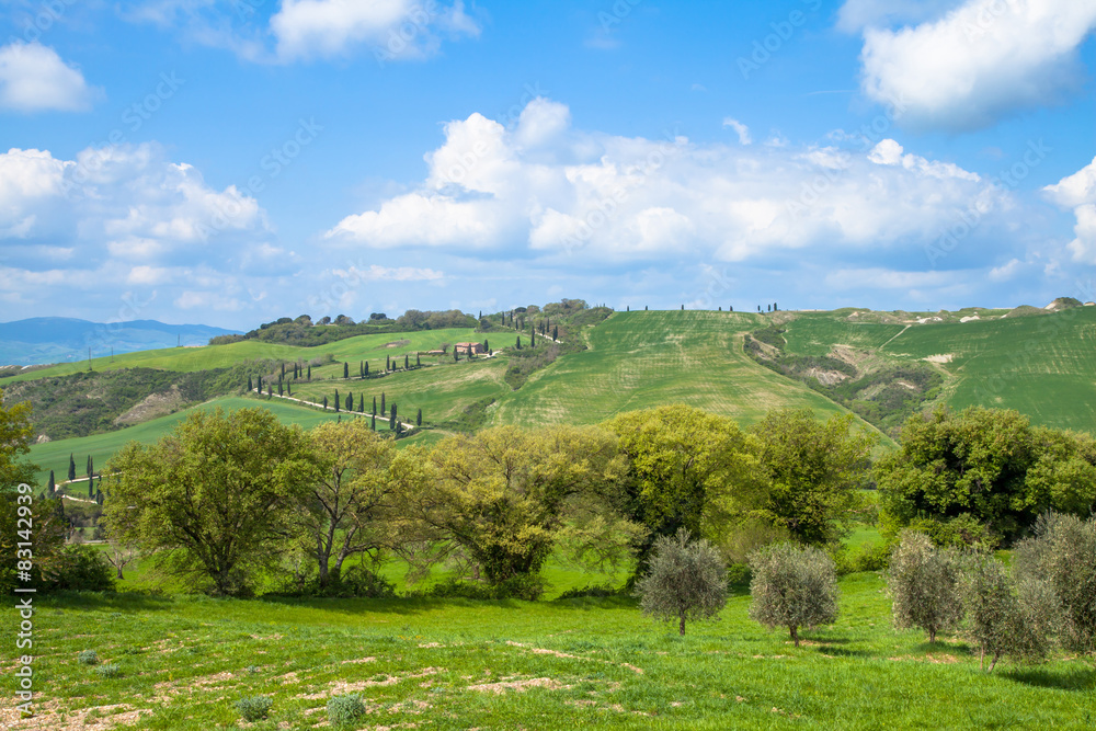 Obraz premium Toskana Landschaft