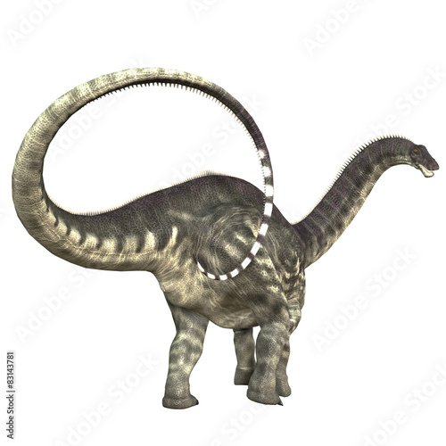 Apatosaurus Dinosaur Tail © Catmando